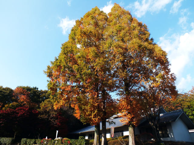 美濃陶芸村