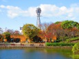 大阪天王寺公園の秋