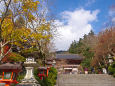 京の秋・鞍馬寺