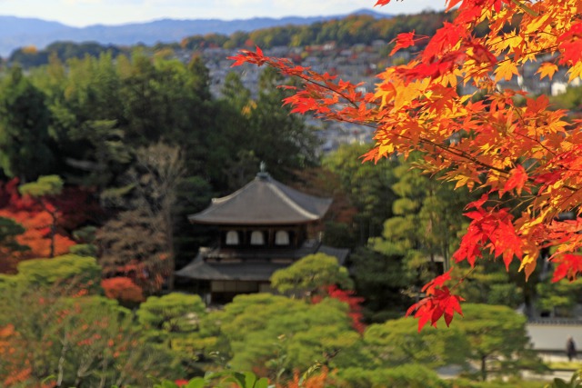 秋の銀閣寺