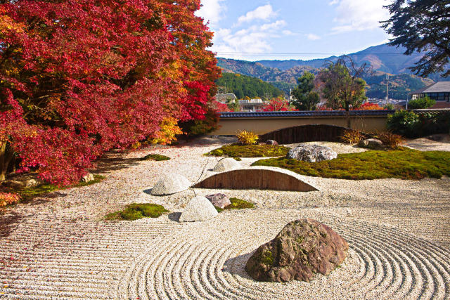 実相院 枯山水と紅葉