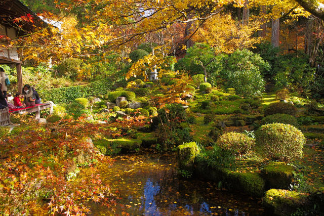 京の秋・大原 三千院の紅葉