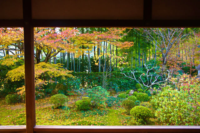 京の秋・大原 宝泉院の紅葉