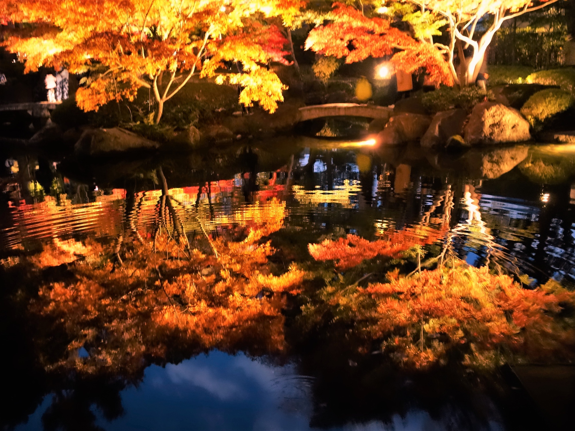 夜景 花火 イルミ 紅葉ライトアップ 壁紙19x1440 壁紙館