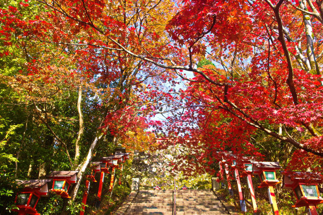 鞍馬寺の紅葉