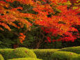 京の秋・詩仙堂の紅葉