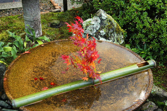 京都の紅葉・圓光寺・#2