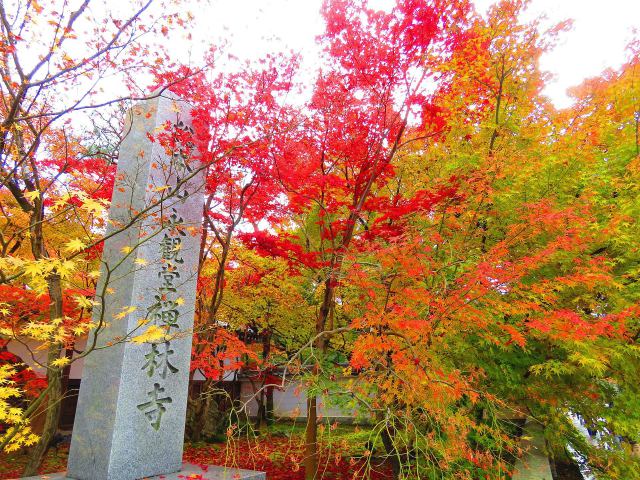 永観堂門前の紅葉