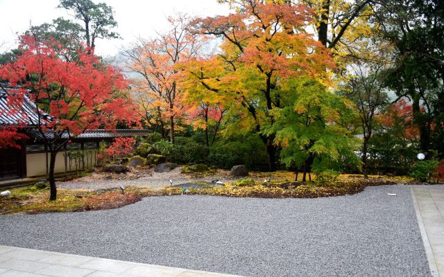 永源寺の紅葉(1)