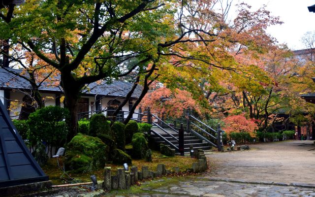 永源寺の紅葉(3)