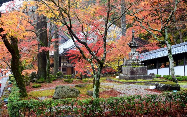 永源寺の紅葉(5)