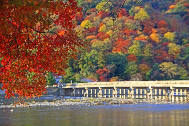 嵐山の紅葉