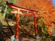 花筐公園のもみじと鳥居