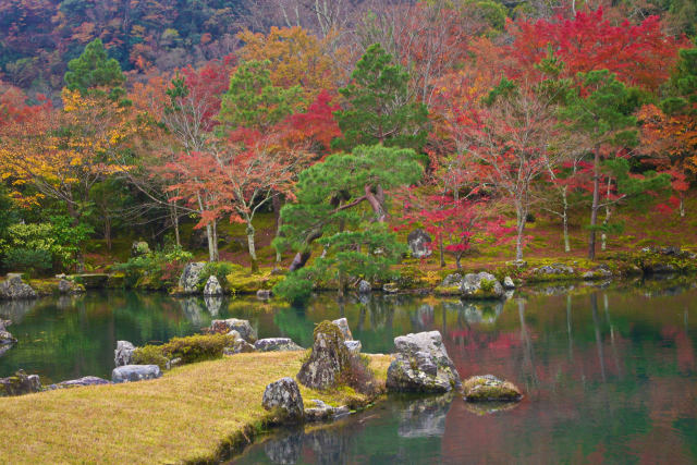 天龍寺 曹源池の秋