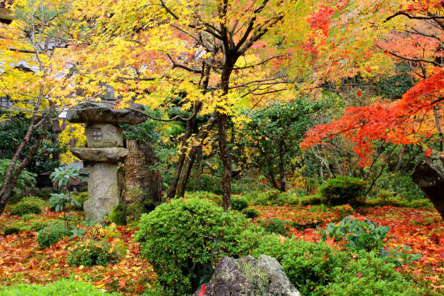 京都の紅葉・圓光寺・#4