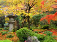 京都の紅葉・圓光寺・#4