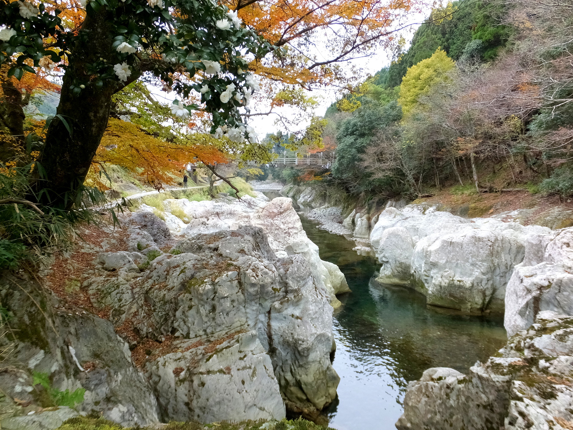 日本の風景 山国 猿飛の甌穴狭 壁紙19x1440 壁紙館