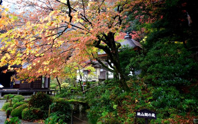 湖東三山金剛輪寺の紅葉(2)