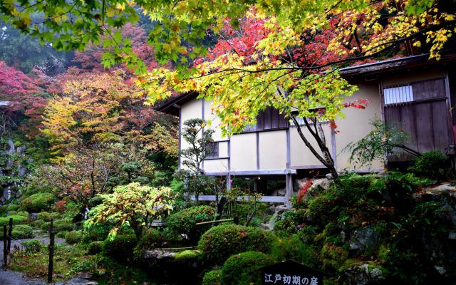 湖東三山金剛輪寺の紅葉(3)