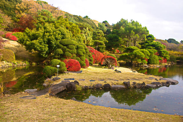 小石川植物園の日本庭園