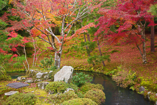 天龍寺の紅葉