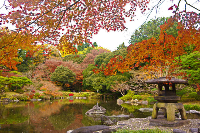 旧古河庭園 錦秋の彩り