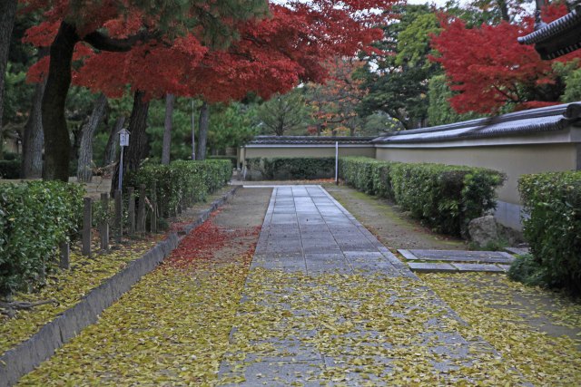 秋の建仁寺