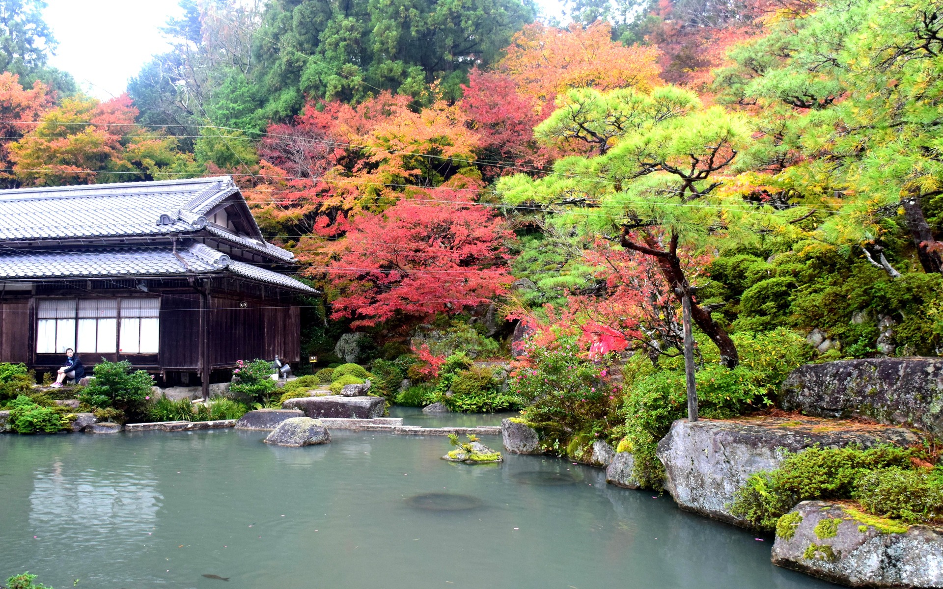 日本の風景 湖東三山 百済寺の紅葉 1 壁紙19x10 壁紙館