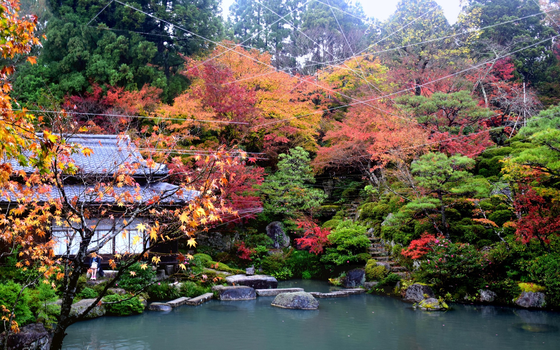 日本の風景 湖東三山 百済寺の紅葉 5 壁紙19x10 壁紙館