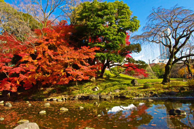 小石川後楽園の紅葉