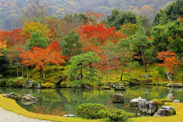 天龍寺庭園