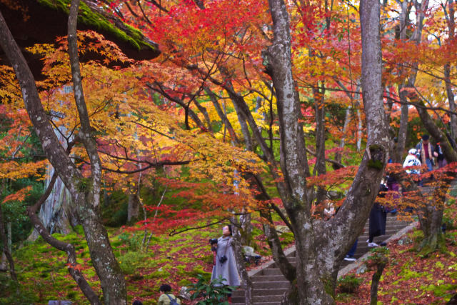 嵯峨野 常寂光寺の紅葉