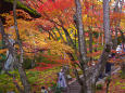 嵯峨野 常寂光寺の紅葉