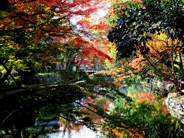 水路に映える紅葉