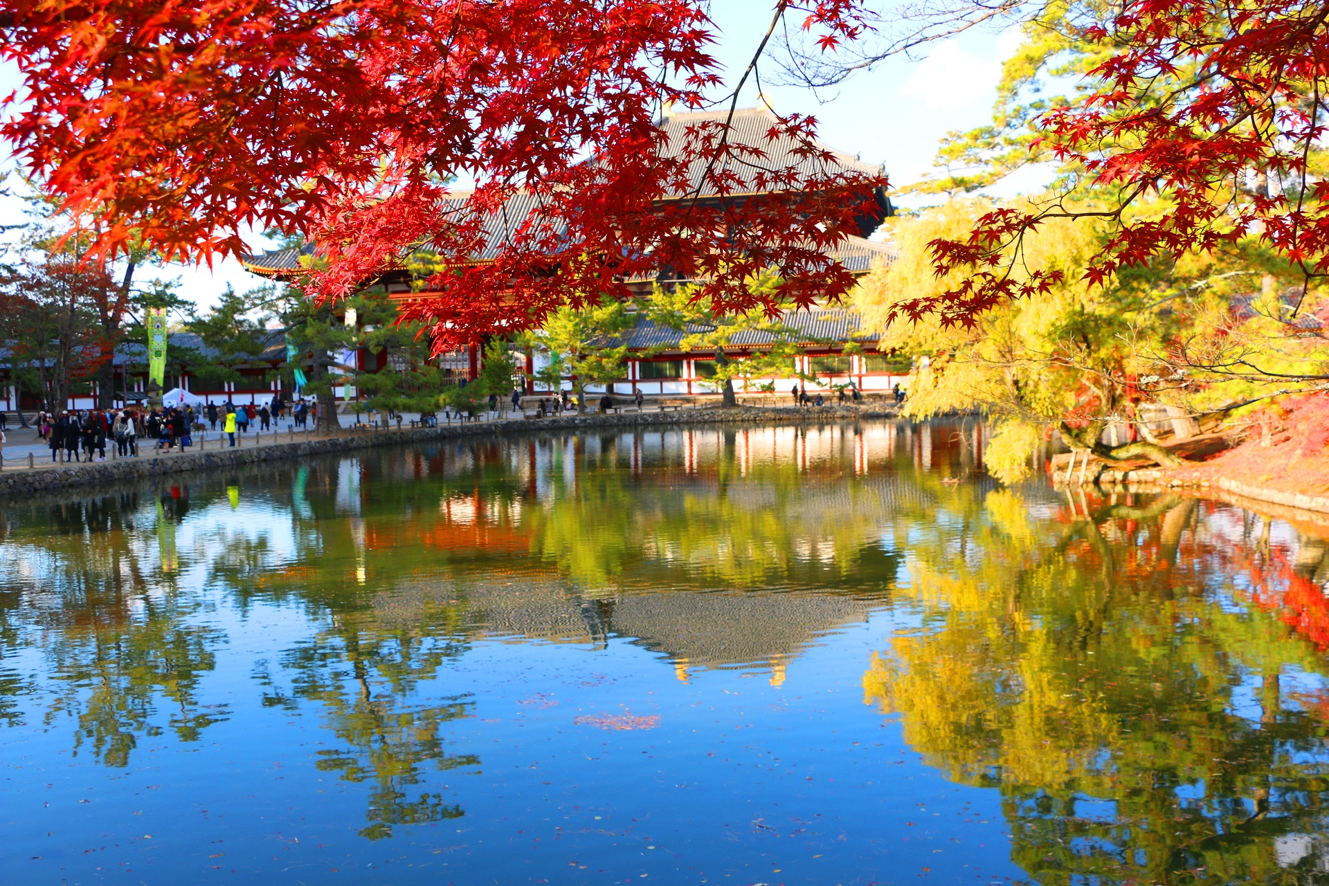 日本の風景 奈良公園紅葉 壁紙19x1280 壁紙館