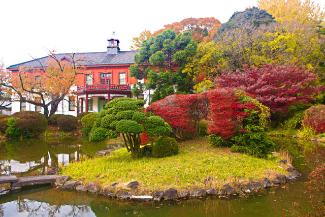 小石川植物園の秋