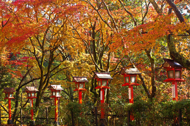 鞍馬寺の紅葉