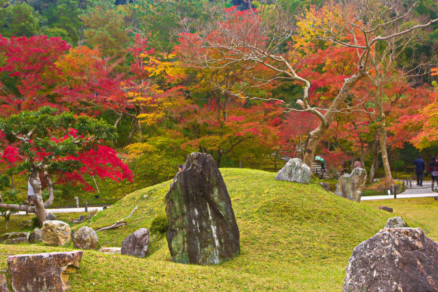 高台寺の紅葉