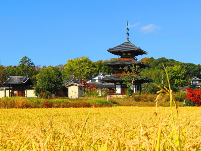 晩秋の斑鳩路・法起寺三重塔