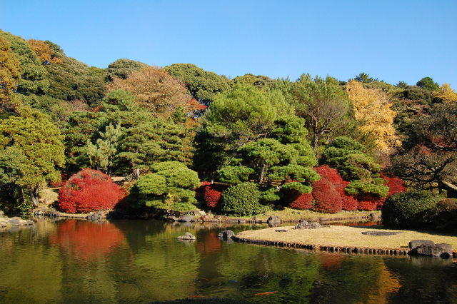 小石川植物園