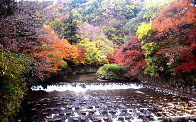 八瀬の紅葉(2)