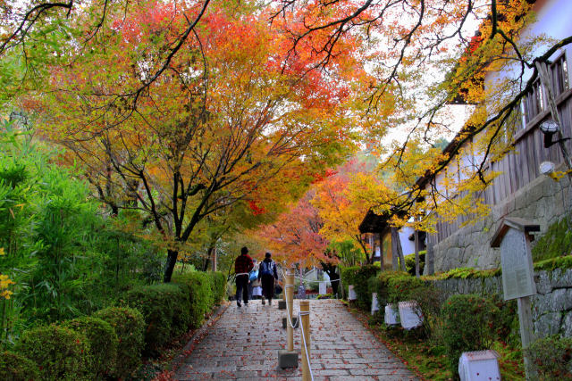 京都の紅葉・曼殊院・#3