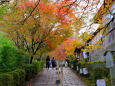 京都の紅葉・曼殊院・#3