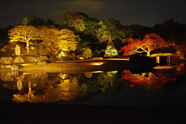 六義園 ライトアップ