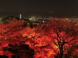 京都夜の紅葉