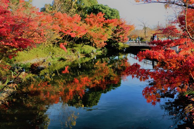 なばなの里紅葉