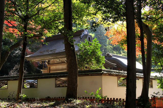 京都の紅葉・鷺森神社・#2