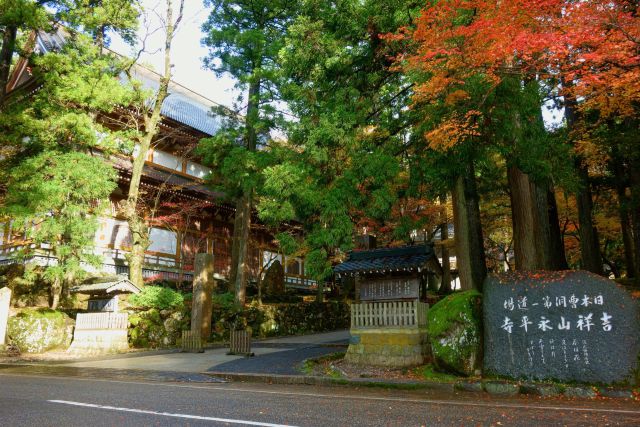 秋、深まる永平寺ともみじ