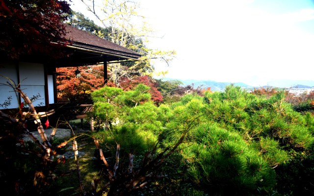 大河内山荘の紅葉(3)