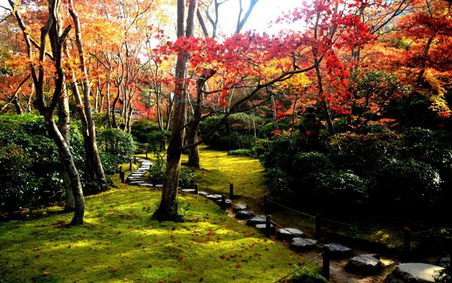 大河内山荘の紅葉(5)